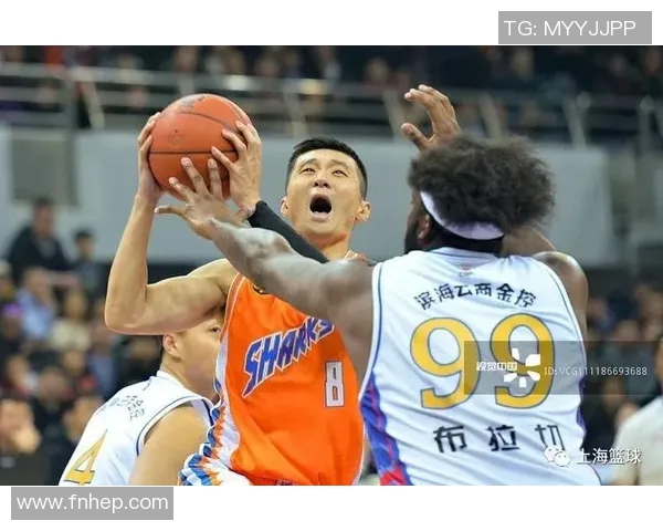 鲨鱼体育俱乐部：风起云涌的运动盛事